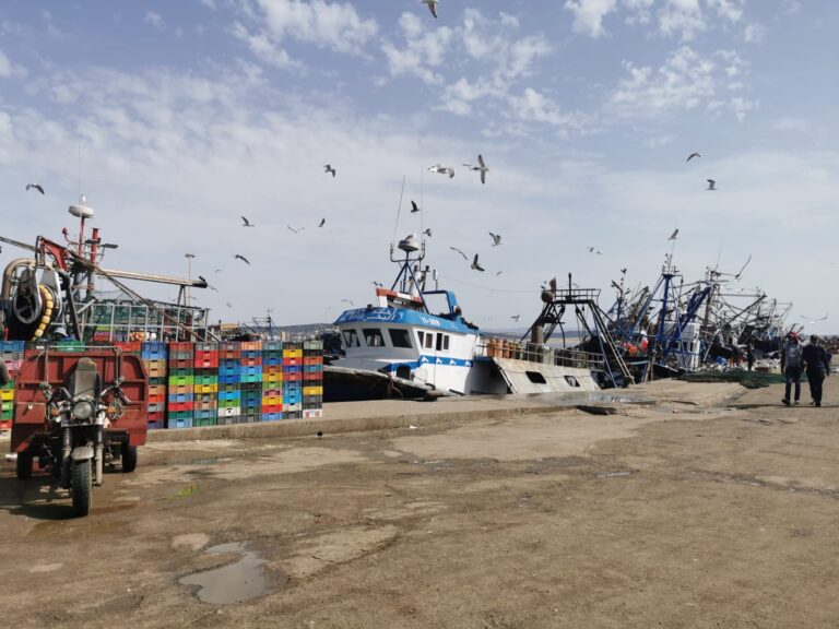 Puerto de Essaouira